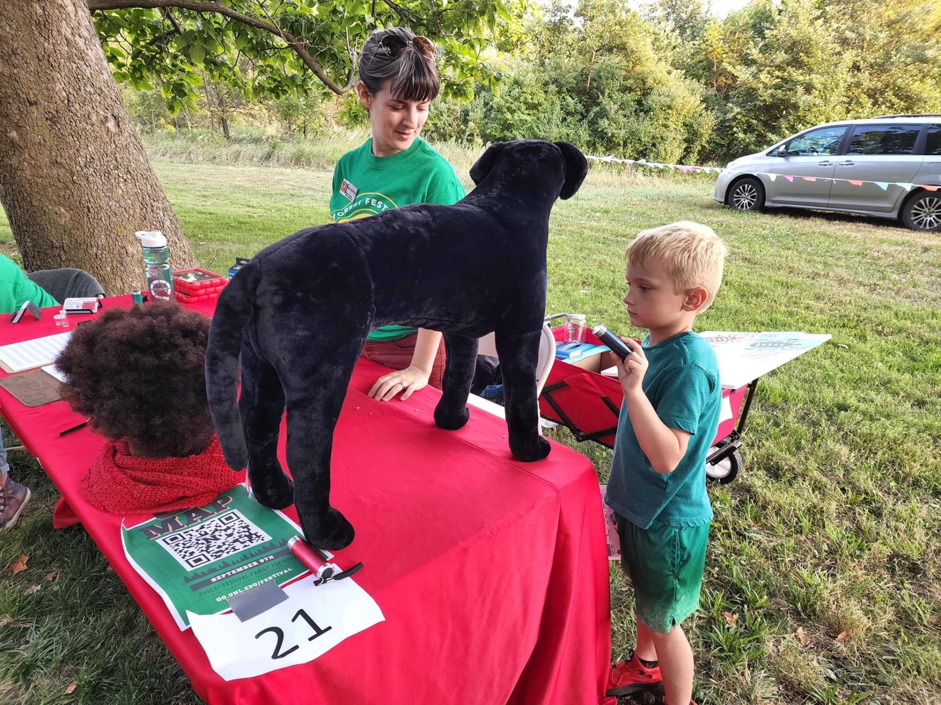 photo of a child at an outreach event searching a stuffed animal dog for common tick spots
