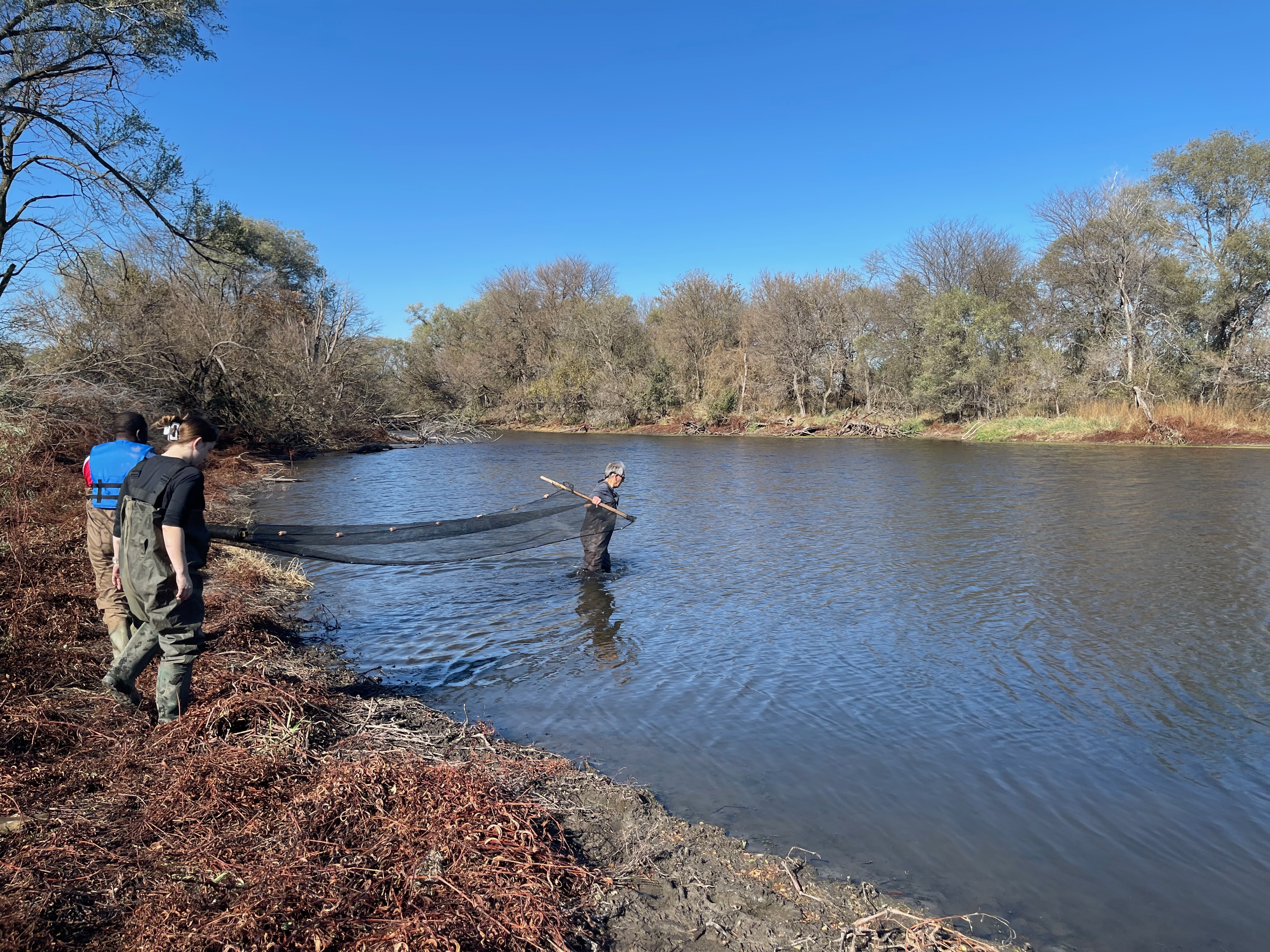 Nebraska One Health team members hold a net to capture tadpoles in a large pond in an agricultural landscape in eastern Nebraska.