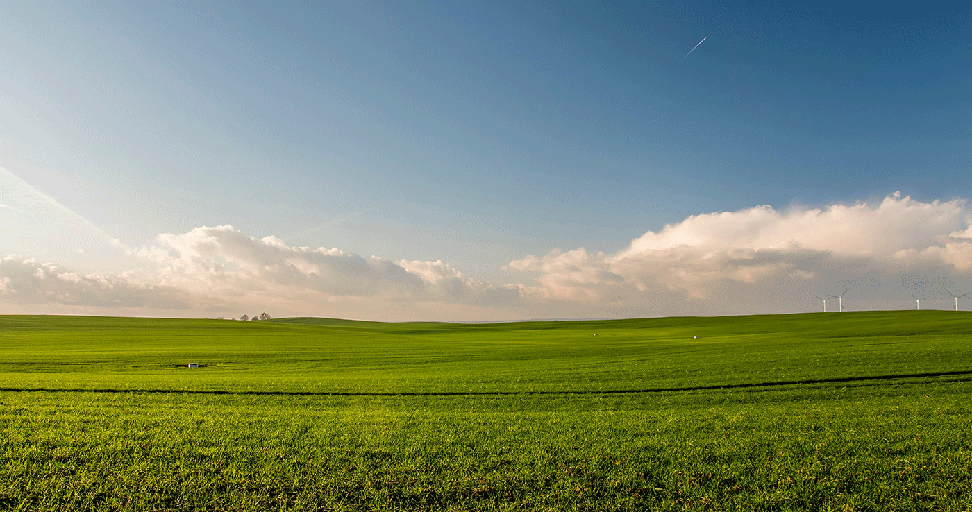 landscape photograph of a field with a beautiful sky