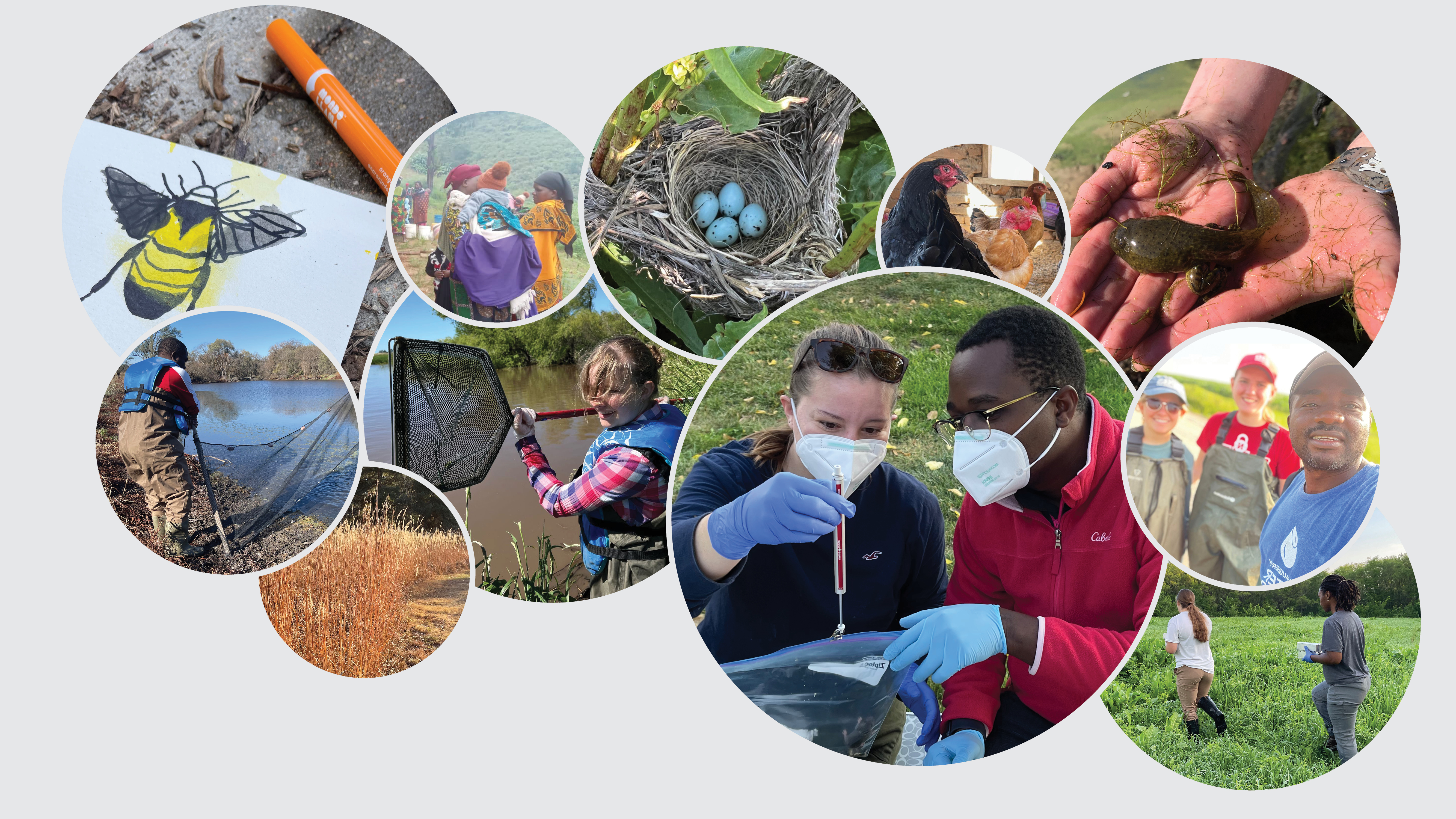 Collage image showing various photos of students doing research, animals, environments, and 