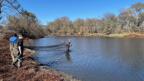 Nebraska One Health team members hold a net to capture tadpoles in a large pond in an agricultural landscape in eastern Nebraska.