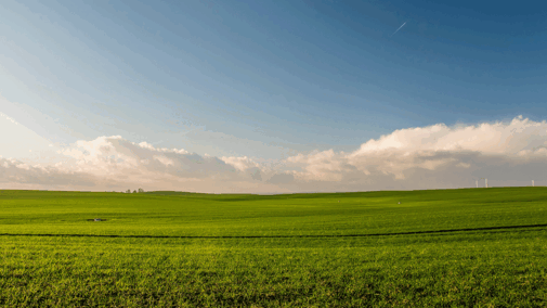 landscape photograph of a field with a beautiful sky
