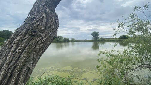 photo of runoff water