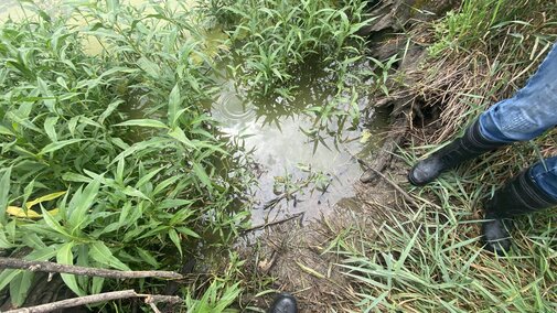 run off water
