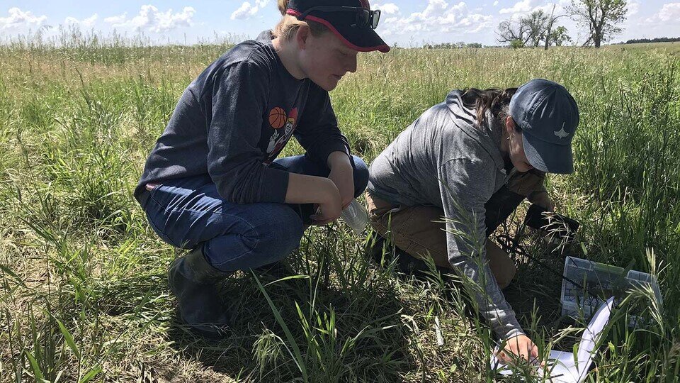 Abi Schoup and Dr. Elizabeth VanWromer performing field research on frogs