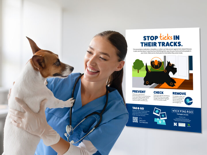 veterinarian holding a dog with an example of the Tick Tag Go Tick Prevention in Dogs poster on wall in background
