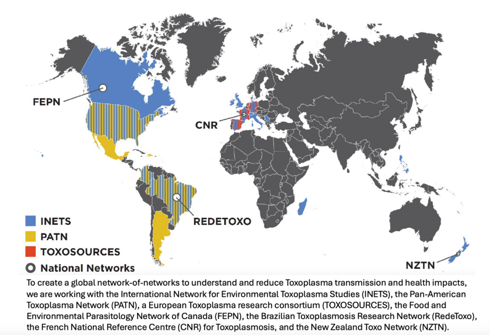 AccelNET Toxo Network Distribution map showing the seven current networks involved and where they are located globally