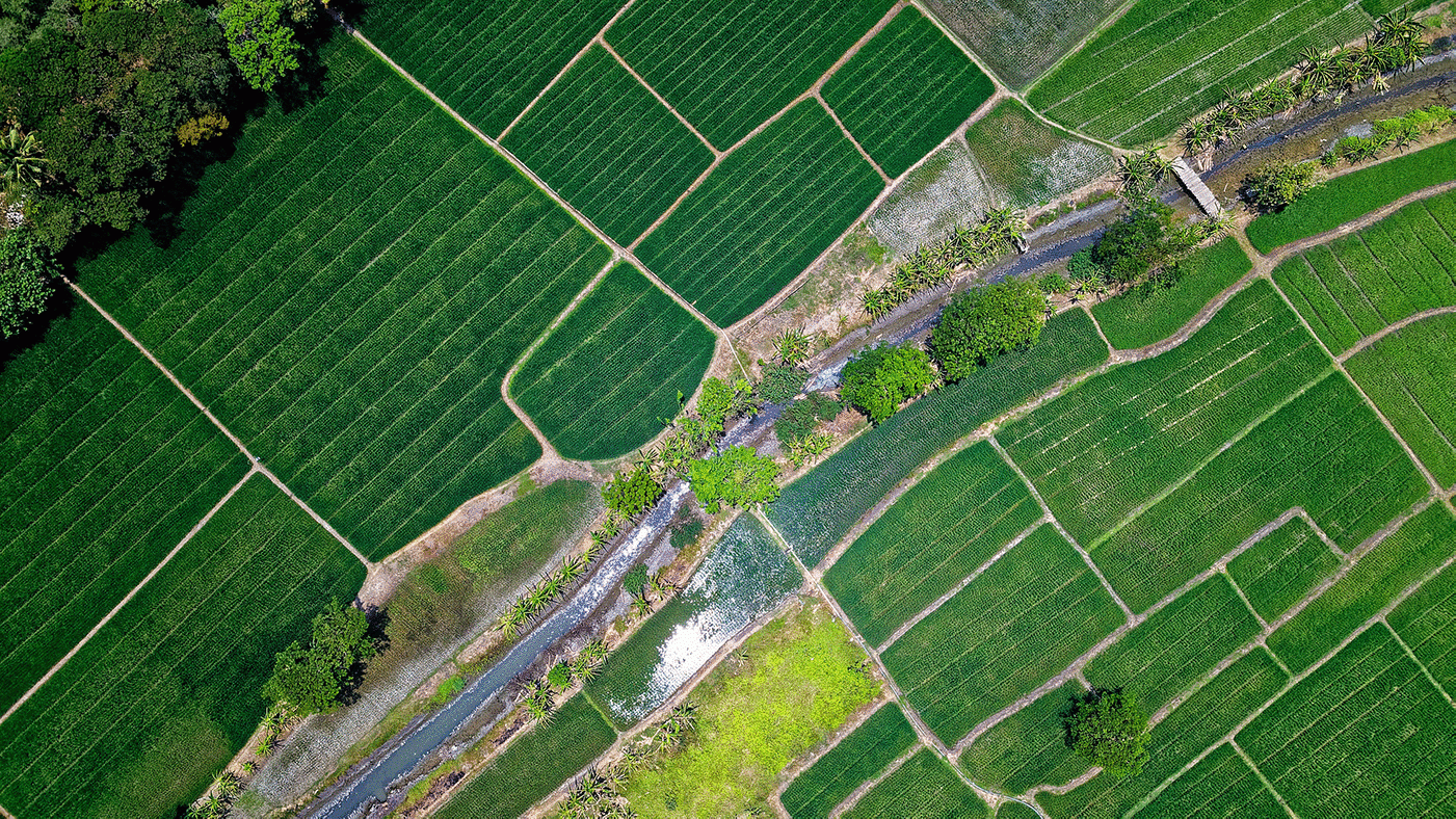aerial view crops